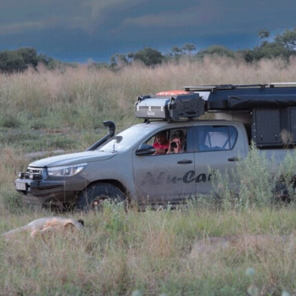 The Roof Box