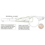 HILUX All 4WD 2015 On Petrol 127L - Image 2