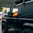 Land Rover Defender (1983-2016) Gullwing Window / Aluminium - Image 9